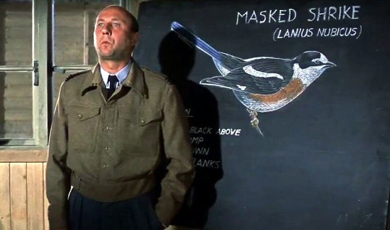 Wielka ucieczka film wojenny